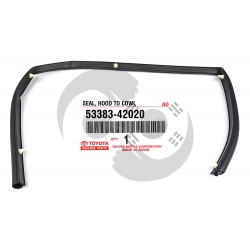 ΛΑΣΤΙΧΟ ΝΕΡΟΧΥΤΗ ΠΑΡΜΠΡΙΖ TOYOTA RAV4 ACA2