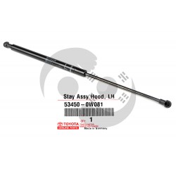 ΑΜΟΡΤΙΣΕΡ ΚΑΠΩ LH LEXUS IS250/IS350 2005-2015