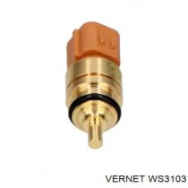 ΑΙΣΘΗΤΗΡΑΣ ΘΕΡΜΟΚΡΑΣΙΑΣ HYUNDAI ΑΙΣΘΗΤΗΡΑΣ ΘΕΡΜΟΚΡΑΣΙΑΣ HYUNDAI